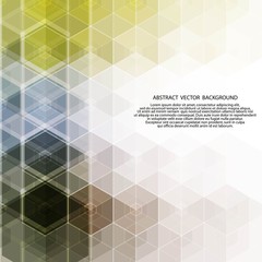hexagon colored. abstract vector background. presentation layout. eps 10