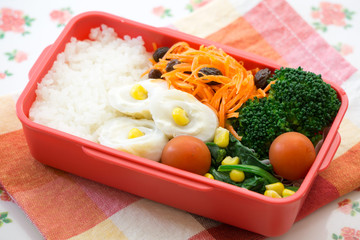チキン弁当 Japanese lunch box