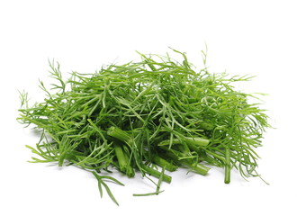 Fresh green dill isolated on white background