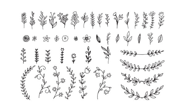 set of flower hand drawn for romantic or vintage design, floral for retro decoration like wedding invitation, kaligraphy lettering