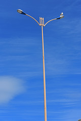 Seagull resting on a lamppost before continuing his travel