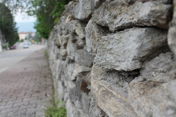 stone in the forest