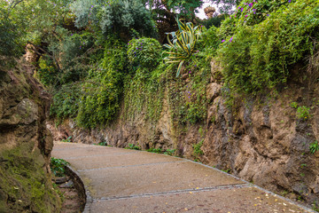 A footpath between two stone walls with lush vegetation in the Park Guell in overcast autumn day, Barcelona, Catalonia, Spain