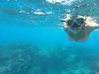 Naklejka premium Snorkeling over Great Barrier Reef in Australia. Dive stock photo