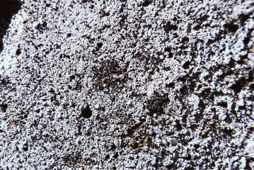 Obraz premium Concrete floor texture