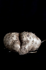 taro root