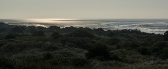 Panorama, Ameland, Het Oerd, the Netherlands
