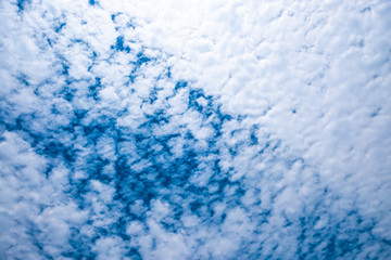Fototapeta premium Thick and fluffy white altocumulus clouds scattered all over blue sky on a sunny day.