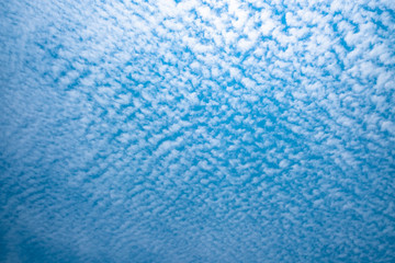 White fluffy altocumulus clouds scattered all over blue sky.