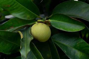 Abstract of running of light is a curve at night.