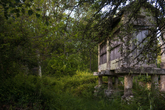 stone barn called h&oacute;rreo that is an old system of storage of the harvest in Galicia.