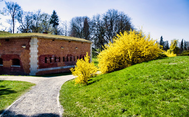 House in the Countryside