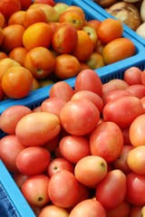 Fresh tomatoes for cooking in street food