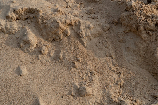 Sand piles that have a landslide along the gravity