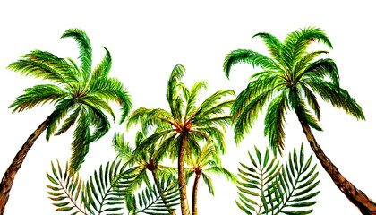 Palm trees. Palm grove against the blue sky and the sun. Watercolor  hand drawn illustration.
