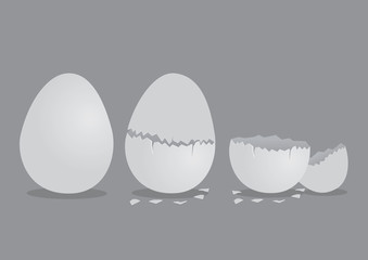 Egg and Cracked EggShell Vector Illustration