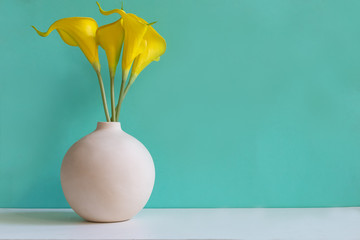Green wall with flower on shelf white wood, copy space for text. Still life and Lifestyle Concept