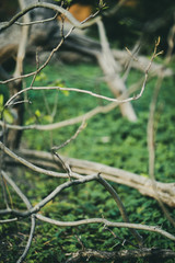 old fence