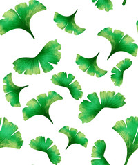 Green Ginkgo Leaves pattern