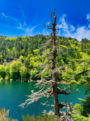 Obraz premium Typical mountain lake landscape, Italy.