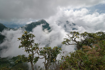  Horton Plains National Park in Sri Lanka - 269241380