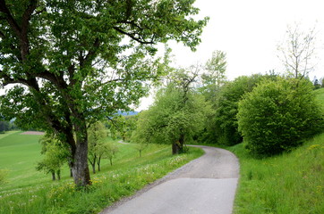 Fototapeta na wymiar Countryside in the Mühlviertel region in Upper Austria