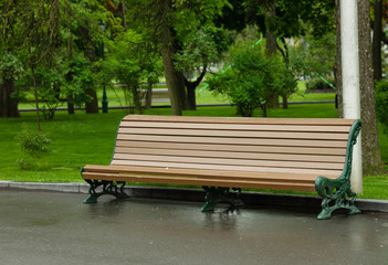 large drops of rain on the bench