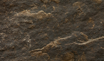 Sandstone texture for background. Warm limestone texture. 