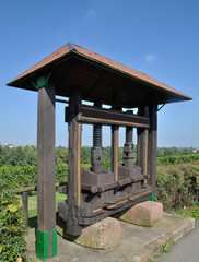historische Weinpresse in den Weinbergen von Edenkoben,Südliche Weinstrasse,Rheinland-Pfalz,Deutschland