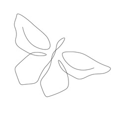 Butterfly isolated on white background vector illustration