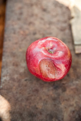 One red apple close up and copy space on the background of a rusty table. An ugly apple with rot.