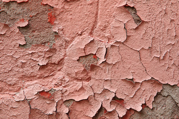 Fragment of an old exterior wall with cracked peeling plaster pink color