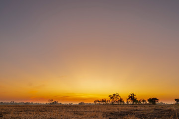 Golden beautiful Sunrise and clear at dry grass fields in the countryside at morning