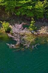 Typical mountain lake landscape, Italy.