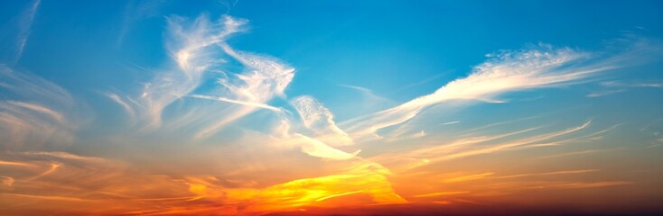 Cloud formation at sunset with abstract image of a bird in the white clouds