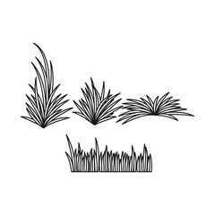 Isolated object of grass and bush logo. Collection of grass and garden stock symbol for web.