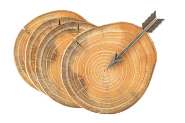 Seeking to hit the bull’s-eye. A slice of wood trunk showing the center target