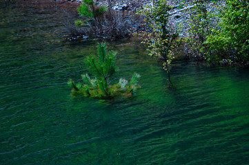 Typical mountain lake landscape, Italy.