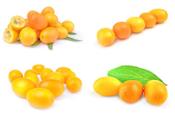 Collection of kumquats isolated on a white cutout