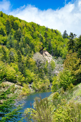 Fototapeta na wymiar Typical mountain lake landscape, Italy.