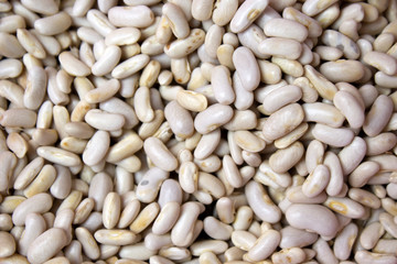 background of white beans