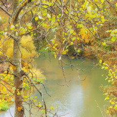 Autumn park with river