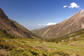 Naklejka premium Mountain landscapes of Kyrgyzstan. Spring in the mountains.