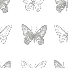Butterflies silhouettes. Butterfly icons isolated on white background. Graphic illustration. Seamless patterns.