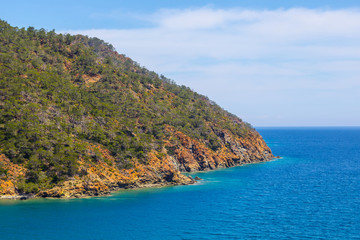 closeup  cliff among the emerald sea