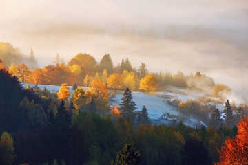 Fototapeta premium The lawn is enlightened by the sun rays. Majestic autumn rural landscape. Fantastic scenery with morning fog. Green meadows in frost. Picturesque resort Carpathians valley, Ukraine, Europe.