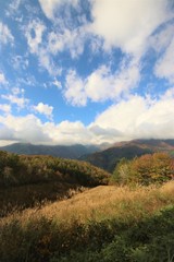 Obraz premium 白馬の紅葉