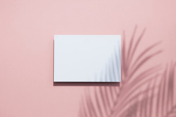 Tropical palm leaf shadow on a white card frame. Exotic summer background.