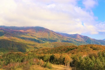 白馬の紅葉と山脈