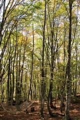 白馬のハイキング道